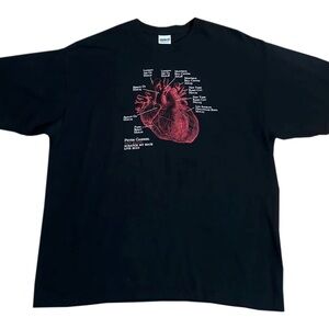 Peter Gabriel New Blood Scratch My Back 2010 T Shirt (Size XL)